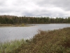 Deer Pond